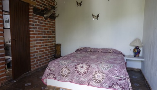 Habitación individual básica