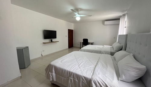 Habitación ejecutiva con 2 camas individuales