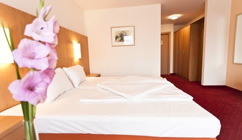 Habitación Confort con 1 cama doble o 2 individuales, balcón, vistas parciales al lago