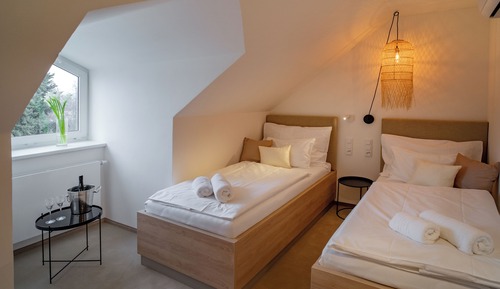 Habitación Deluxe con 2 camas individuales