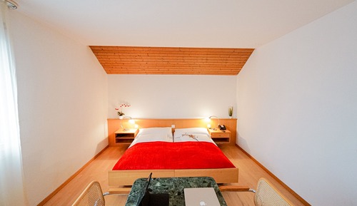 Habitación con 1 cama doble o 2 individuales, accesible para personas con discapacidad, baño privado