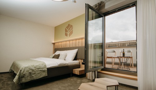 Habitación familiar doble, 1 cama de matrimonio grande con sofá cama, baño privado