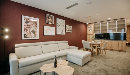 Apartamento Deluxe, 1 cama de matrimonio grande con sofá cama, cocina básica