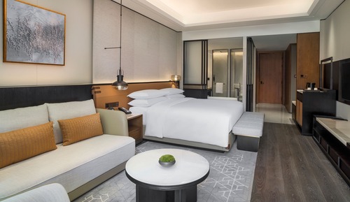 Habitación Deluxe, 1 cama de matrimonio grande, vistas a la ciudad