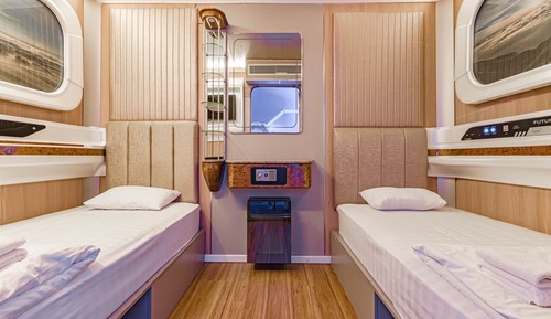 Habitación Deluxe con 2 camas individuales