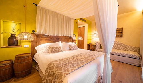 Habitación junior, patio, vistas al viñedo