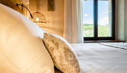 Habitación Confort, vistas al viñedo