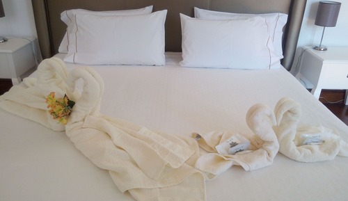 Habitación estándar con 1 cama doble o 2 individuales