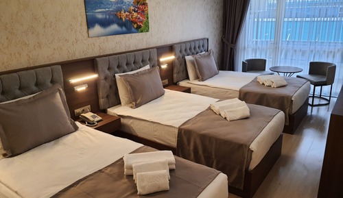 Habitación triple estándar