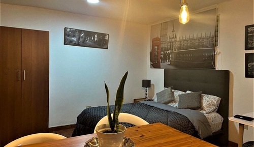 Suite estudio superior, 1 habitación