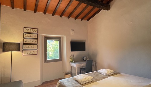 Habitación Deluxe con 1 cama doble o 2 individuales