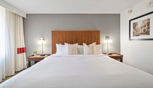 Suite, 1 cama de matrimonio grande con sofá cama