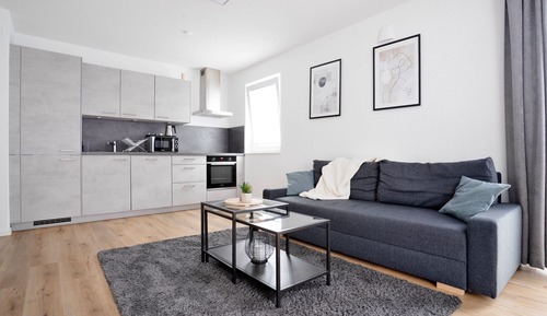 Apartamento superior, 1 cama de matrimonio grande con sofá cama
