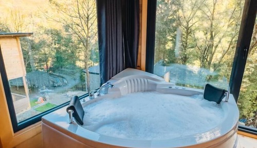 Superior Chalet, 1 Double Bed with Sofa bed, Accessible, River View