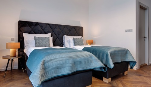 Habitación Deluxe con 2 camas individuales