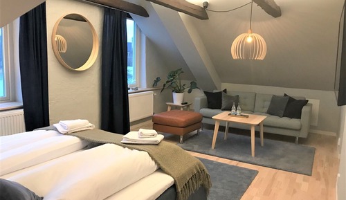 Suite junior