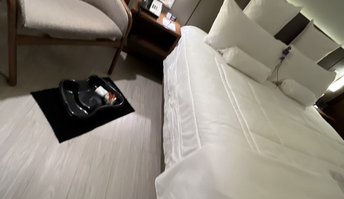 Doble Suite Ejecutiva