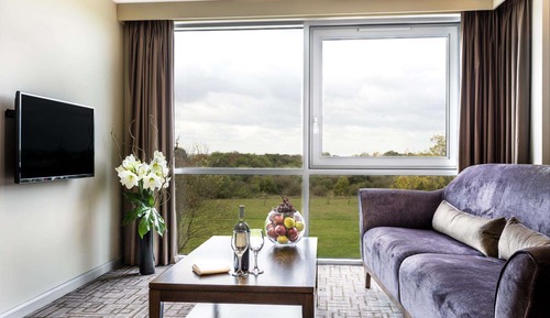 Suite Deluxe, 2 habitaciones