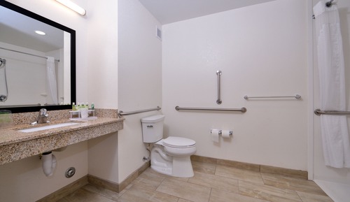 Suite, 1 cama de matrimonio grande, accesible en silla de ruedas (Roll-In Shower)