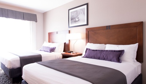 Suite, 2 camas de matrimonio
