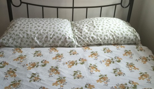 Double Private, 1 Double Bed, Private  Bathroom
