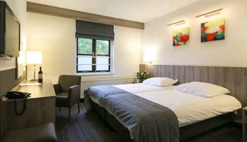 Habitación estándar con 2 camas individuales