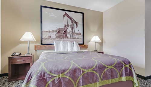 Habitación estándar, 1 cama de matrimonio grande, no fumadores, frigorífico y microondas