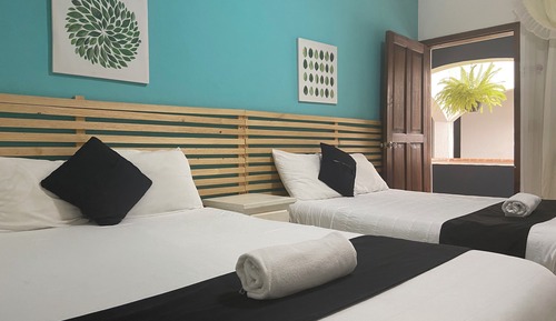 Habitación estándar, 2 camas dobles