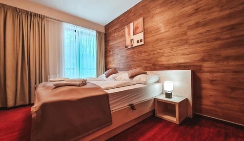 Apartamento Premium, 1 habitación, chimenea
