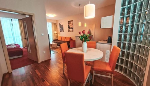 Apartamento Confort, 1 habitación, chimenea