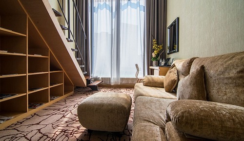 Suite estudio