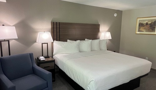 Habitación Deluxe, 1 cama de matrimonio grande, no fumadores, frigorífico y microondas