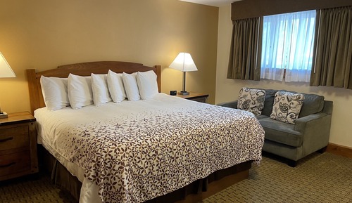 Habitación básica, 1 cama de matrimonio grande (Pet friendly)