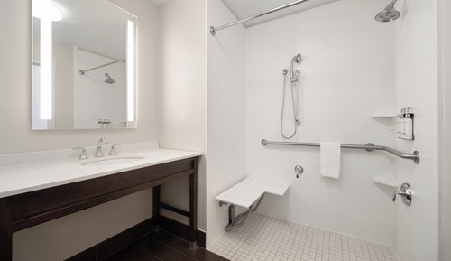 Habitación estándar, 1 cama de matrimonio grande, accesible en silla de ruedas (Roll-In Shower)
