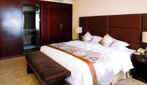 Suite exclusiva, 1 cama de matrimonio grande