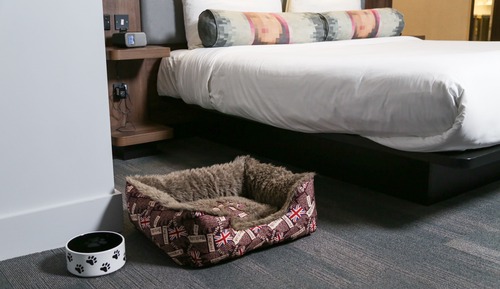 Habitación, 1 cama de matrimonio grande