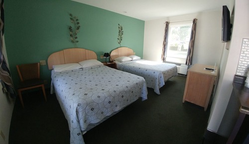 Habitación estándar doble, 2 camas dobles, cocina básica, en la zona del patio
