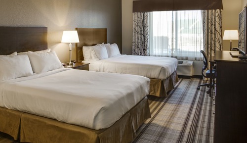 Suite, 1 cama de matrimonio grande, accesible para personas con discapacidad (Comm)