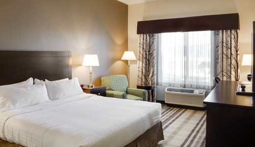 Habitación estándar, 1 cama de matrimonio grande, accesible para personas con discapacidad (Comm)