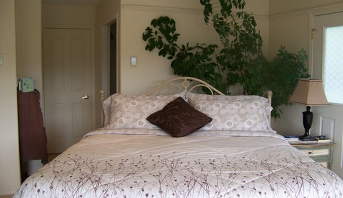 Suite estudio Deluxe, 1 cama de matrimonio grande, cocina básica (Hummingbird)