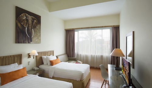 Habitación Deluxe con 2 camas individuales