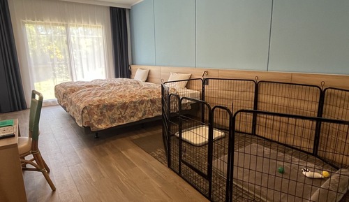 Habitación básica con 2 camas individuales, no fumadores (Dog Room)