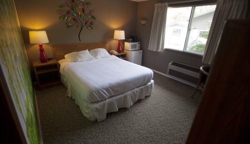 Habitación estándar, 1 cama de matrimonio