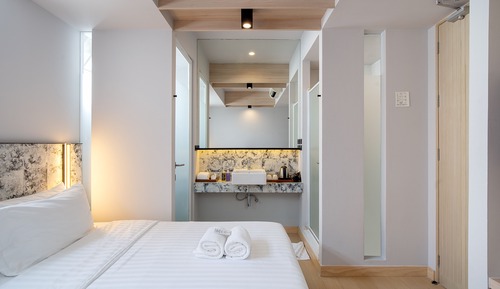 Paris Skylight Double or Twin