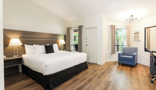 Habitación estándar, 1 cama de matrimonio grande