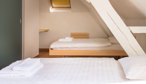 Habitación estándar con 2 camas individuales, baño privado (Château)