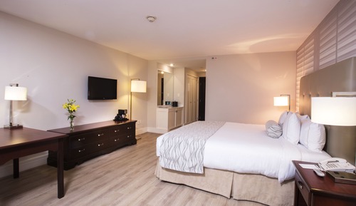 Habitación estándar, 1 cama de matrimonio grande