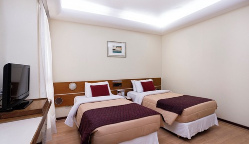 Economico Twin