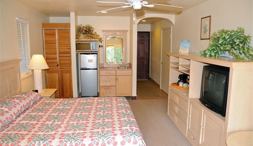 Habitación estándar, 1 cama de matrimonio grande