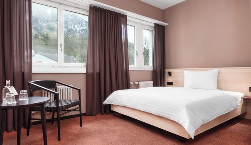Habitación estándar doble, 1 cama de matrimonio